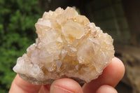 Natural Limonite Spirit Quartz Clusters x 12 From Boekenhouthoek, South Africa - Toprock Gemstones and Minerals