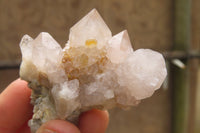 Natural Limonite Spirit Quartz Clusters x 12 From Boekenhouthoek, South Africa - Toprock Gemstones and Minerals