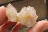 Natural Limonite Spirit Quartz Clusters x 12 From Boekenhouthoek, South Africa - Toprock Gemstones and Minerals