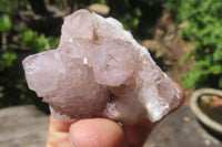 Natural Amethyst Spirit Quartz Crystals x 40 From Boekenhouthoek, South Africa - Toprock Gemstones and Minerals