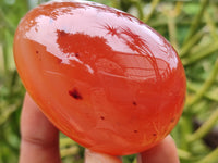 Polished Red Agate Gemstone Eggs - Sold Per Item - From Brazil - Toprock Gemstones and Minerals