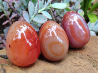 Polished Red Agate Gemstone Eggs - Sold Per Item - From Brazil - Toprock Gemstones and Minerals