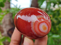 Polished Red Agate Gemstone Eggs - Sold Per Item - From Brazil - Toprock Gemstones and Minerals