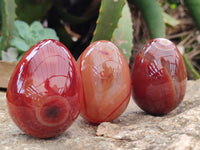 Polished Red Agate Gemstone Eggs - Sold Per Item - From Brazil - Toprock Gemstones and Minerals