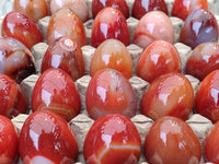 Polished Red Agate Gemstone Eggs - Sold Per Item - From Brazil - Toprock Gemstones and Minerals