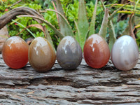 Polished Translucent Multicolor Banded Agate Eggs - Sold Per Item - From Madagascar - Toprock Gemstones and Minerals