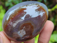 Polished Translucent Multicolor Banded Agate Eggs - Sold Per Item - From Madagascar - Toprock Gemstones and Minerals