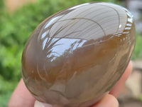 Polished Translucent Multicolor Banded Agate Eggs - Sold Per Item - From Madagascar - Toprock Gemstones and Minerals