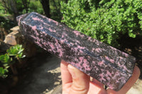 Polished Rhodonite Points x 2 From Ambindavato, Madagascar - Toprock Gemstones and Minerals