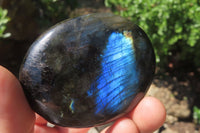 Polished Labradorite Palm Stones x 8 From Tulear, Madagascar - Toprock Gemstones and Minerals