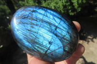 Polished Labradorite Palm Stones x 8 From Tulear, Madagascar - Toprock Gemstones and Minerals