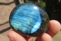Polished Labradorite Palm Stones x 8 From Tulear, Madagascar - Toprock Gemstones and Minerals