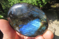 Polished Labradorite Palm Stones x 8 From Tulear, Madagascar - Toprock Gemstones and Minerals