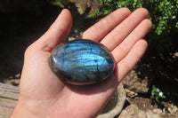 Polished Labradorite Palm Stones x 8 From Tulear, Madagascar - Toprock Gemstones and Minerals