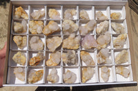 Natural Mixed Spirit Quartz Clusters x 35 From Boekenhouthoek, South Africa - Toprock Gemstones and Minerals