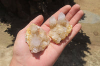Natural Mixed Spirit Quartz Clusters x 35 From Boekenhouthoek, South Africa - Toprock Gemstones and Minerals