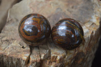 Polished Tiger Iron Sphere-Balls - Sold Per Item - From Marble Bar, Australia - Toprock Gemstones and Minerals