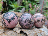 Polished Rhodonite Sphere-Balls - Sold Per Item - From Madagascar - Toprock Gemstones and Minerals
