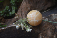 Polished Honey Aragonite Gemstone Sphere-Balls - Sold Per Item - From Ais-Ais Namibia - Toprock Gemstones and Minerals