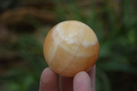 Polished Honey Aragonite Gemstone Sphere-Balls - Sold Per Item - From Ais-Ais Namibia - Toprock Gemstones and Minerals
