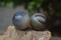 Polished Banded Agate Sphere-Balls - Sold Per Item - From Madagascar - Toprock Gemstones and Minerals