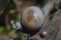 Polished Banded Agate Sphere-Balls - Sold Per Item - From Madagascar - Toprock Gemstones and Minerals