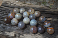 Polished Banded Agate Sphere-Balls - Sold Per Item - From Madagascar - Toprock Gemstones and Minerals
