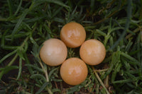 Polished Small Honey Aragonite Gemstone Sphere-Balls - Sold Per Item - From Ais-Ais Namibia - Toprock Gemstones and Minerals