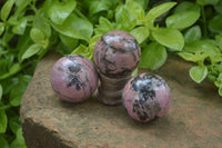 Polished Medium Rhodonite Sphere-Balls - Sold Per Item - From Madagascar - Toprock Gemstones and Minerals