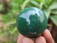 Polished Green Quartz Sphere-Balls - Sold Per Item - From Zimbabwe - Toprock Gemstones and Minerals
