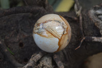 Polished Medium Namibian Desert Picture Stone Jasper Sphere-Balls - Sold Per Item - From Namibia - Toprock Gemstones and Minerals