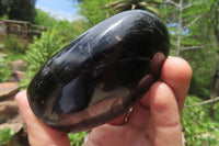 Polished Black Tourmaline Standing Free Forms x 3 From Madagascar - Toprock Gemstones and Minerals