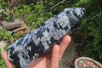 Polished Gabbro / Merlinite Points x 2 From Madagascar - Toprock Gemstones and Minerals