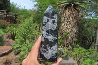 Polished Gabbro / Merlinite Points x 2 From Madagascar - Toprock Gemstones and Minerals