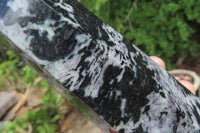 Polished Gabbro / Merlinite Points x 2 From Madagascar - Toprock Gemstones and Minerals