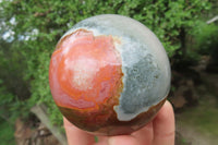 Polished Polychrome Jasper Spheres x 2 From Madagascar - Toprock Gemstones and Minerals