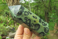Polished Stromatolite Jasper Points x 3 From Katsepy, Madagascar - Toprock Gemstones and Minerals