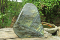 Polished Labradorite Standing Free Form x 1 From Tulear, Madagascar - Toprock Gemstones and Minerals