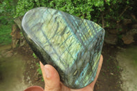 Polished Labradorite Standing Free Form x 1 From Tulear, Madagascar - Toprock Gemstones and Minerals