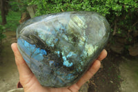 Polished Labradorite Standing Free Form x 1 From Tulear, Madagascar - Toprock Gemstones and Minerals
