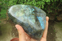 Polished Labradorite Standing Free Form x 1 From Tulear, Madagascar - Toprock Gemstones and Minerals