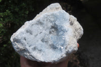 Natural Celestite Geode Specimens x 2 From Sakoany, Madagascar - Toprock Gemstones and Minerals