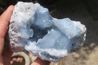 Natural Celestite Geode Specimens x 2 From Sakoany, Madagascar - Toprock Gemstones and Minerals