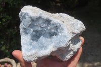 Natural Celestite Geode Specimens x 2 From Sakoany, Madagascar - Toprock Gemstones and Minerals