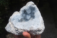 Natural Celestite Geode Specimens x 2 From Sakoany, Madagascar - Toprock Gemstones and Minerals