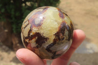 Polished Septerye Spheres x 6 From Mahajanga, Madagascar - Toprock Gemstones and Minerals