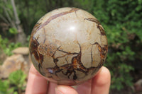 Polished Septerye Spheres x 6 From Mahajanga, Madagascar - Toprock Gemstones and Minerals