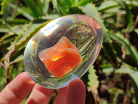 Polished Carnelian In Resin Egg - Sold Per Item - From Madagascar - Toprock Gemstones and Minerals