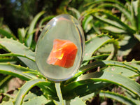 Polished Carnelian In Resin Egg - Sold Per Item - From Madagascar - Toprock Gemstones and Minerals