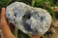 Natural Celestite Geode Specimen x 1 From Sakoany, Madagascar - Toprock Gemstones and Minerals